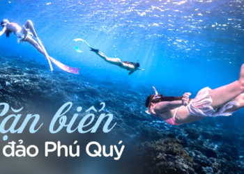 Review tour lặn biển tại đảo Phú Quý: 1,5 triệu cho 2 buổi, được dạy lặn, ảo diệu nhất là dịch vụ chụp ảnh đẹp quên lối về!