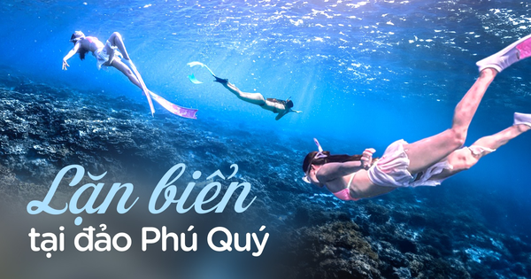 Review tour lặn biển tại đảo Phú Quý: 1,5 triệu cho 2 buổi, được dạy lặn, ảo diệu nhất là dịch vụ chụp ảnh đẹp quên lối về!