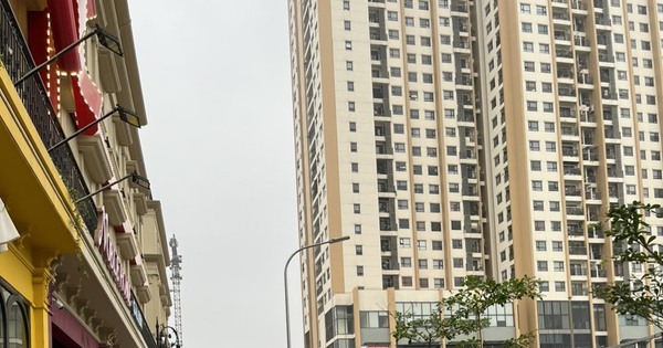 Chung cư hết thời “hét” giá, giờ chủ quay lại chào khách cũ mua nhà, chủ động giảm 100-300 triệu đồng/căn