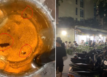 Đi ăn cơm được “tặng” 4 con gián trong cốc nước nhân trần, chủ quán vẫn thản nhiên: “Sơ suất là bình thường”
