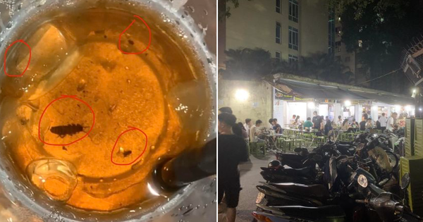 Đi ăn cơm được “tặng” 4 con gián trong cốc nước nhân trần, chủ quán vẫn thản nhiên: “Sơ suất là bình thường”