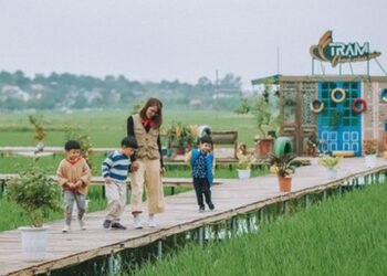 Phát hiện quán cà phê ruộng lúa cực mới, cực chill ngay ở Hà Nội, cách trung tâm chưa đến 30km