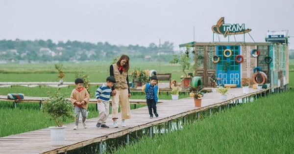 Phát hiện quán cà phê ruộng lúa cực mới, cực chill ngay ở Hà Nội, cách trung tâm chưa đến 30km