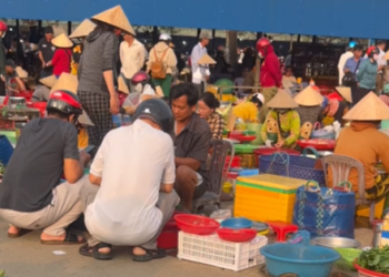 Theo chân Rảnh Thị đi chợ “chồm hổm” miền Tây: Có loại rau chỉ 5k/túi, đồ ăn tươi ngon ai nhìn cũng mê