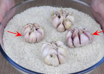 Công dụng của việc vùi củ tỏi vào thùng gạo