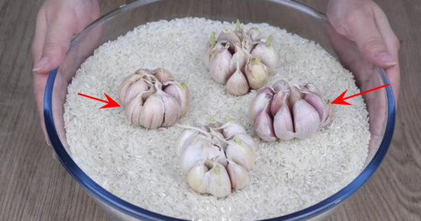 Công dụng của việc vùi củ tỏi vào thùng gạo