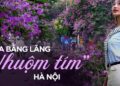 Từ đường phố Hà Nội tới MXH đều ngập sắc tím bằng lăng: Năm nào cũng nở nhưng năm nay bỗng phủ sóng khắp mọi mặt trận