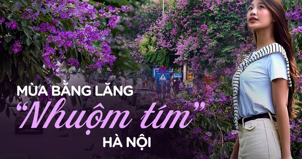 Từ đường phố Hà Nội tới MXH đều ngập sắc tím bằng lăng: Năm nào cũng nở nhưng năm nay bỗng phủ sóng khắp mọi mặt trận