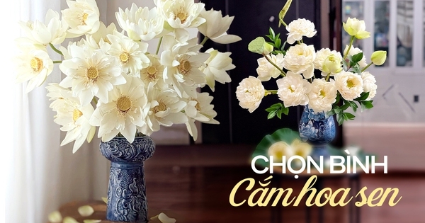 Cách lựa chọn bình cắm hoa sen đẹp “vạn người mê” đơn giản và dễ dàng, đảm bảo chị em nào cũng trổ tài được