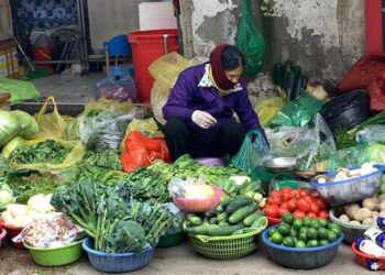 Giá rau củ, thực phẩm ở Hà Nội rục rịch tăng