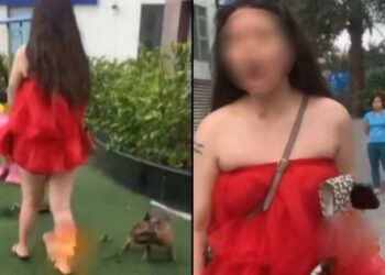 Bị nhắc nhở khi thú cưng phóng uế tại khu vui chơi trẻ em ở Hà Nội, cô gái vẫn cố cãi: “Con chó cũng như trẻ con thôi”