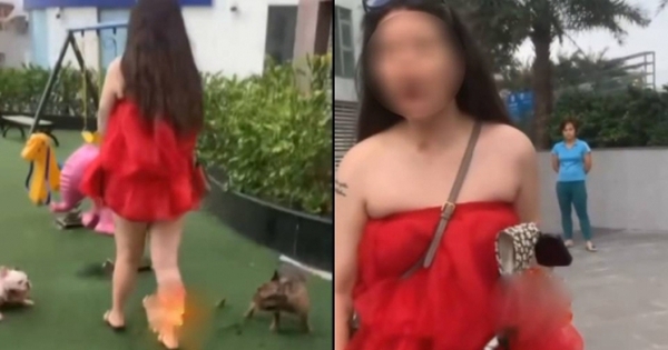 Bị nhắc nhở khi thú cưng phóng uế tại khu vui chơi trẻ em ở Hà Nội, cô gái vẫn cố cãi: “Con chó cũng như trẻ con thôi”