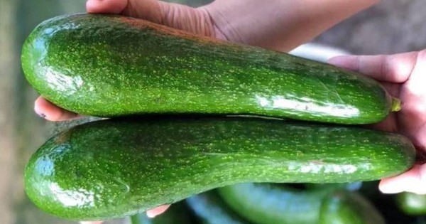 Chọn bơ lấy quả có vỏ láng mịn là sai hoàn toàn: Muốn mua được bơ ngon, hãy chú ý phần này