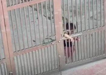 Ai bảo lấy chồng gần là sướng, mẹ bỉm bất lực vì mỗi lần quát mắng, con gái chạy thẳng sang nhà bà ngoại mách
