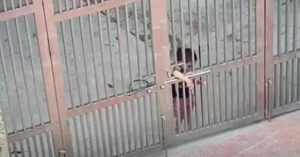Ai bảo lấy chồng gần là sướng, mẹ bỉm bất lực vì mỗi lần quát mắng, con gái chạy thẳng sang nhà bà ngoại mách