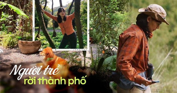 Những người rời thành phố, sẵn sàng đi vài chục km mỗi ngày đến chỗ làm: “Tôi cảm thấy hạnh phúc và giàu có về mọi mặt!”