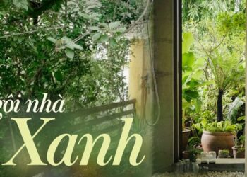 Ngôi nhà được bao quanh bởi 3 khu vườn xanh mát, nắng nóng đến mấy cũng không cần bật điều hòa