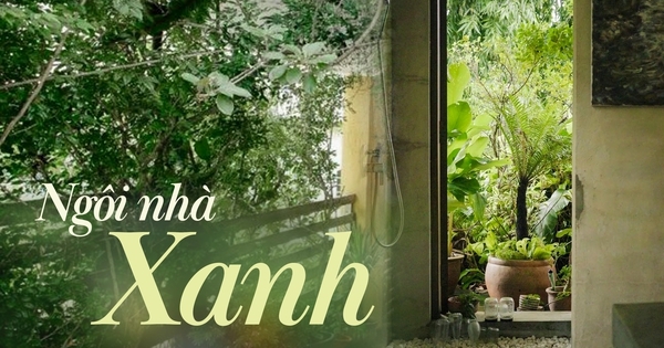 Ngôi nhà được bao quanh bởi 3 khu vườn xanh mát, nắng nóng đến mấy cũng không cần bật điều hòa