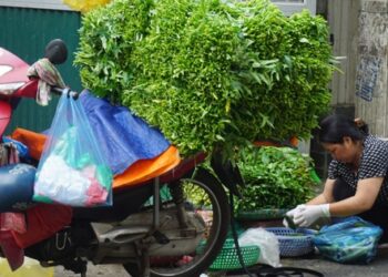 Giá thực phẩm tăng cao, người tiêu dùng “bấm bụng” chi tiêu
