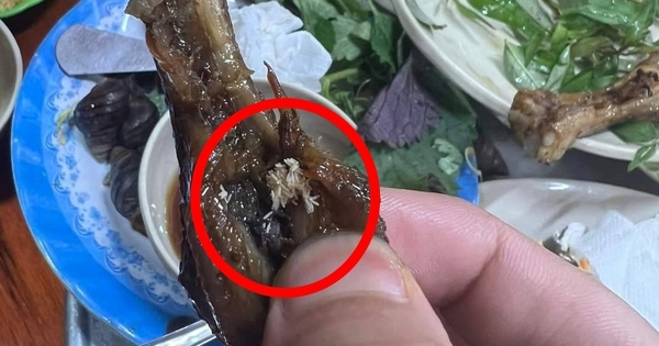 Kinh hãi “cả gia đình” giòi bò ngoe nguẩy trong chiếc chân gà ở quán ốc