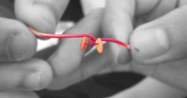 Du khách Tây thích thú với trò chơi của trẻ em Việt Nam, phản ứng vô cùng phấn khích mỗi khi giành chiến thắng
