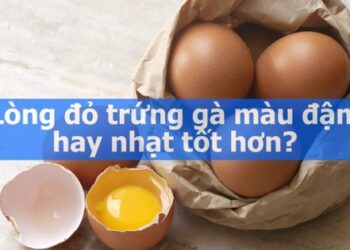 Lòng đỏ trứng gà màu đậm hay nhạt tốt hơn? Sự thật bất ngờ