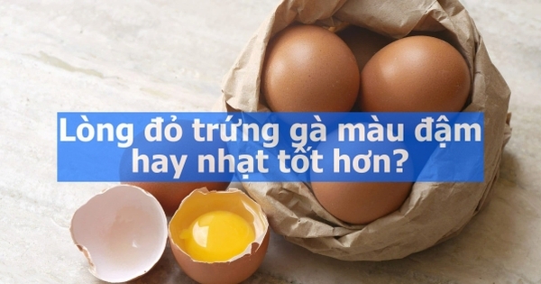 Lòng đỏ trứng gà màu đậm hay nhạt tốt hơn? Sự thật bất ngờ