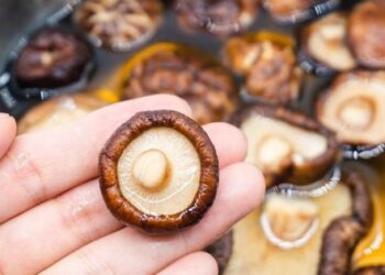 Đừng đổ nước ngâm nấm hương đi vì đây là bí quyết tạo nên hương vị umami cho món ăn mà ít người biết