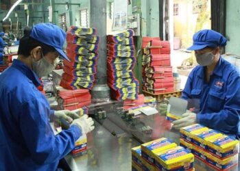 Kinh doanh vượt đỉnh, Pin Hà Nội chia cổ tức kỷ lục