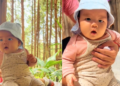 Đi Đà Lạt với em bé nhớ ghé nơi này nhé ba mẹ, thứ gì cũng có nên chơi cả ngày chẳng phải đi đâu