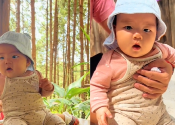 Đi Đà Lạt với em bé nhớ ghé nơi này nhé ba mẹ, thứ gì cũng có nên chơi cả ngày chẳng phải đi đâu