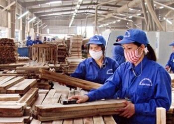 Gỗ Trường Thành lãi đột biến nhờ ngân hàng xóa nợ