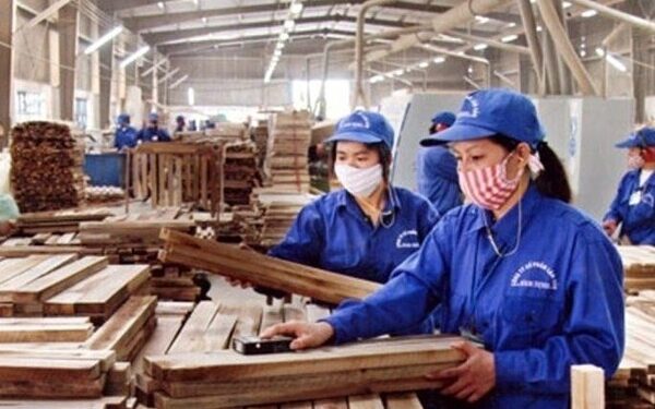 Gỗ Trường Thành lãi đột biến nhờ ngân hàng xóa nợ