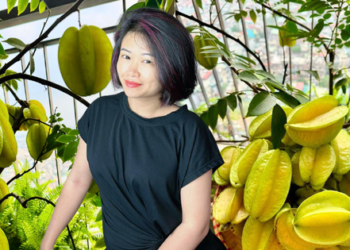 Vườn khế “trên mây” của nữ CEO hút hàng nghìn like: Chị em tấp nập vào xin vía “giỏi việc nước, đảm việc nhà”