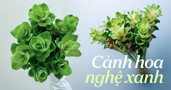 Cành hoa màu xanh năm nào cũng là “hot trend” của mùa hè, năm nay được ưa chuộng hơn vì hợp phong thủy