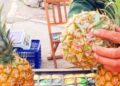 Chọn dứa đừng vội sờ vào, nhìn phần này là chọn được quả ngon ngọt, chín tới: Đơn giản mà chính xác