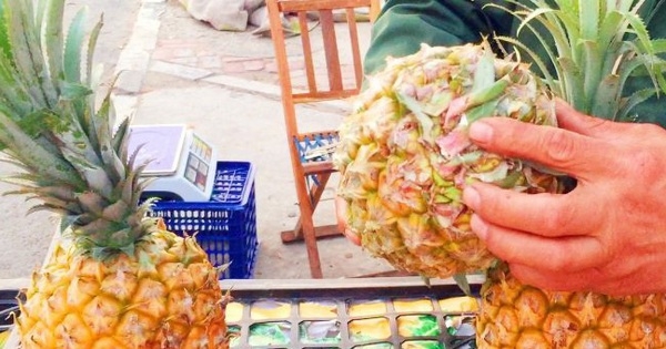Chọn dứa đừng vội sờ vào, nhìn phần này là chọn được quả ngon ngọt, chín tới: Đơn giản mà chính xác