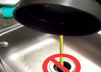 Thợ sửa ống nước tiết lộ sai lầm khi rửa bát, tưởng chừng vô hại nhưng có thể khiến gia chủ mất tiền oan