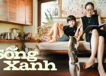 Cặp vợ chồng cải tạo lại ngôi nhà cổ để có thế sống mà không cần bật điều hòa trong suốt 17 năm