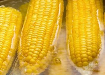 Luộc ngô nhớ cho chút bột này, ngô sẽ ngọt và dẻo thơm đặc biệt