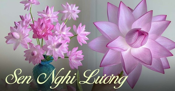 Loại sen rực rỡ được các chị em săn đón, cực khó chiều vì “không tự nở” nhưng biết cách cắm thì ai cũng mê