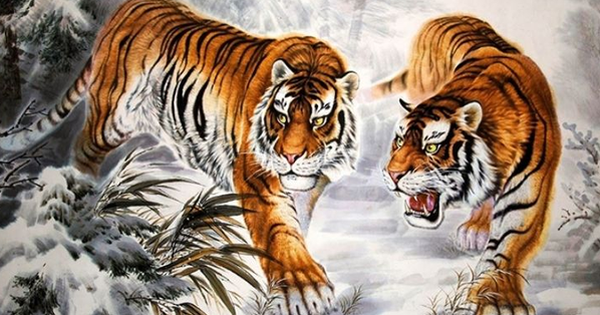Xin chúc mừng 3 con giáp được nhận hết may mắn trong tuần mới, làm gì cũng lên, dễ thành công rực rỡ
