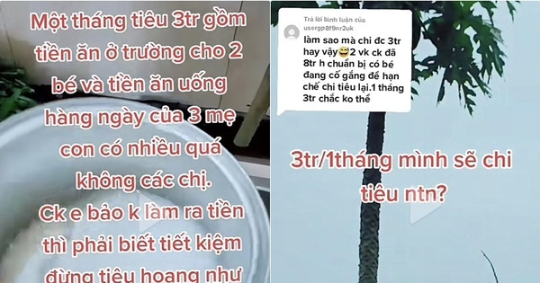 Lại thêm một bà mẹ chỉ tiêu 3 triệu/tháng dù nuôi 2 con nhỏ, nhìn bảng chi tiêu mà không dám tin vào mắt