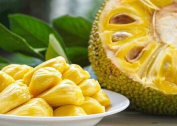 Những loại quả mùa hè có nguy cơ bị ngâm hóa chất nhiều nhất
