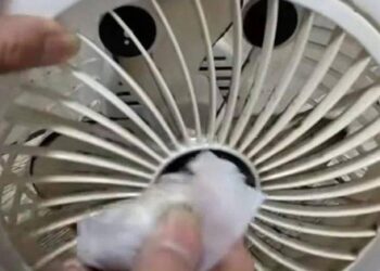 Mẹo vệ sinh quạt điện không cần tháo khung: Loại bỏ vết bẩn lâu ngày chỉ với vài bước
