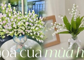 Loài hoa cắm bền nhất vào mùa hè, không sợ nóng mà còn chuộng tắm nước sôi
