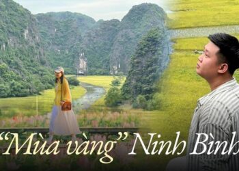Chẳng phải tự nhiên nhiều người rủ nhau về Ninh Bình vào tháng 6: Đây chính là mùa đẹp nhất trong năm ở Cố đô!