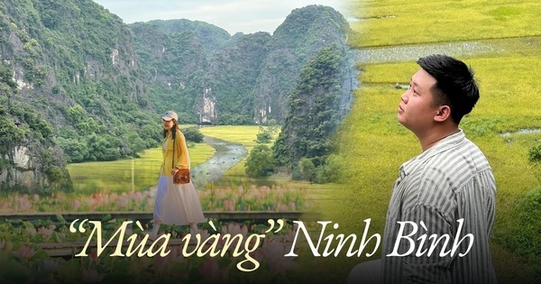 Chẳng phải tự nhiên nhiều người rủ nhau về Ninh Bình vào tháng 6: Đây chính là mùa đẹp nhất trong năm ở Cố đô!