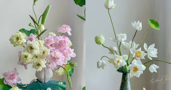 Bí kíp cắm hoa sen “ngắm là mê” của bà mẹ bỉm sữa Hà thành