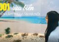 Lạc vào “xứ sở” rùa biển gốm giữa Hà Nội: Đằng sau khung cảnh biển cực “ảo” là ý nghĩa vô cùng đặc biệt mà ai cũng nên biết
